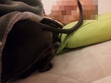 起きないヒトもどうかと….jpg